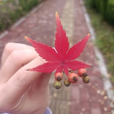 Pamela's avatar